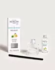 MAISON BERGER PARIS Zest of Verbena Scent Bouquet Huonetuoksu 100 ml - Huonetuoksut - 3127290077516 - 4