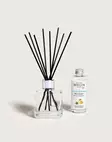 MAISON BERGER PARIS Zest of Verbena Scent Bouquet Huonetuoksu 100 ml - Huonetuoksut - 3127290077516 - 1